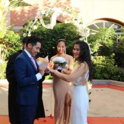 gallery-wedding-26-08-2022-4